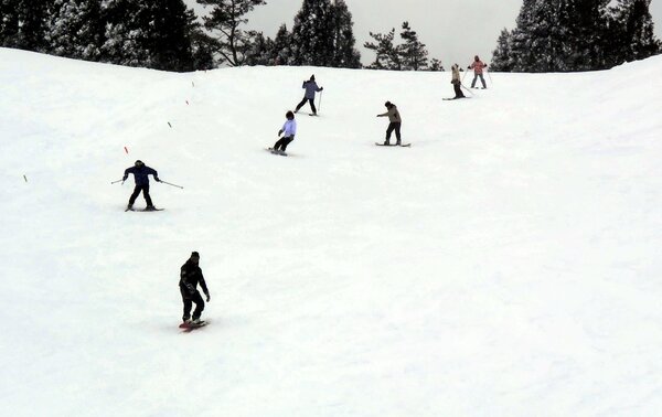 スキー場 恵みの雪 で続々オープンへ 今年初 待望の銀世界広がる 観光 地域のニュース 京都新聞