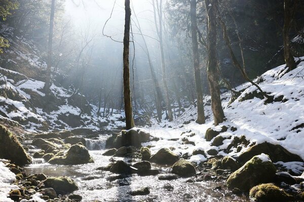 <div class="caption">雪が積もり霧が立ち込めた谷に日が差し込んだ（２０２１年１２月２１日）</div>