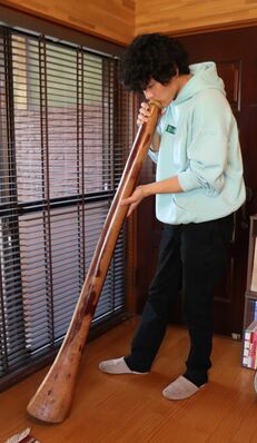正式的 世界最古の金管楽器 ディジュリドゥ✴︎37 管楽器 | 世界最古の 