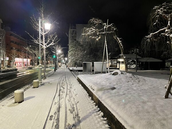 雪が積もった京都市内。歩道は真っ白（14日午前５時40分、京都市左京区の植物園前）