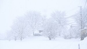 【資料写真】今月上旬、大雪に見舞われた京都府北部の山間部（２月５日、綾部市内）
