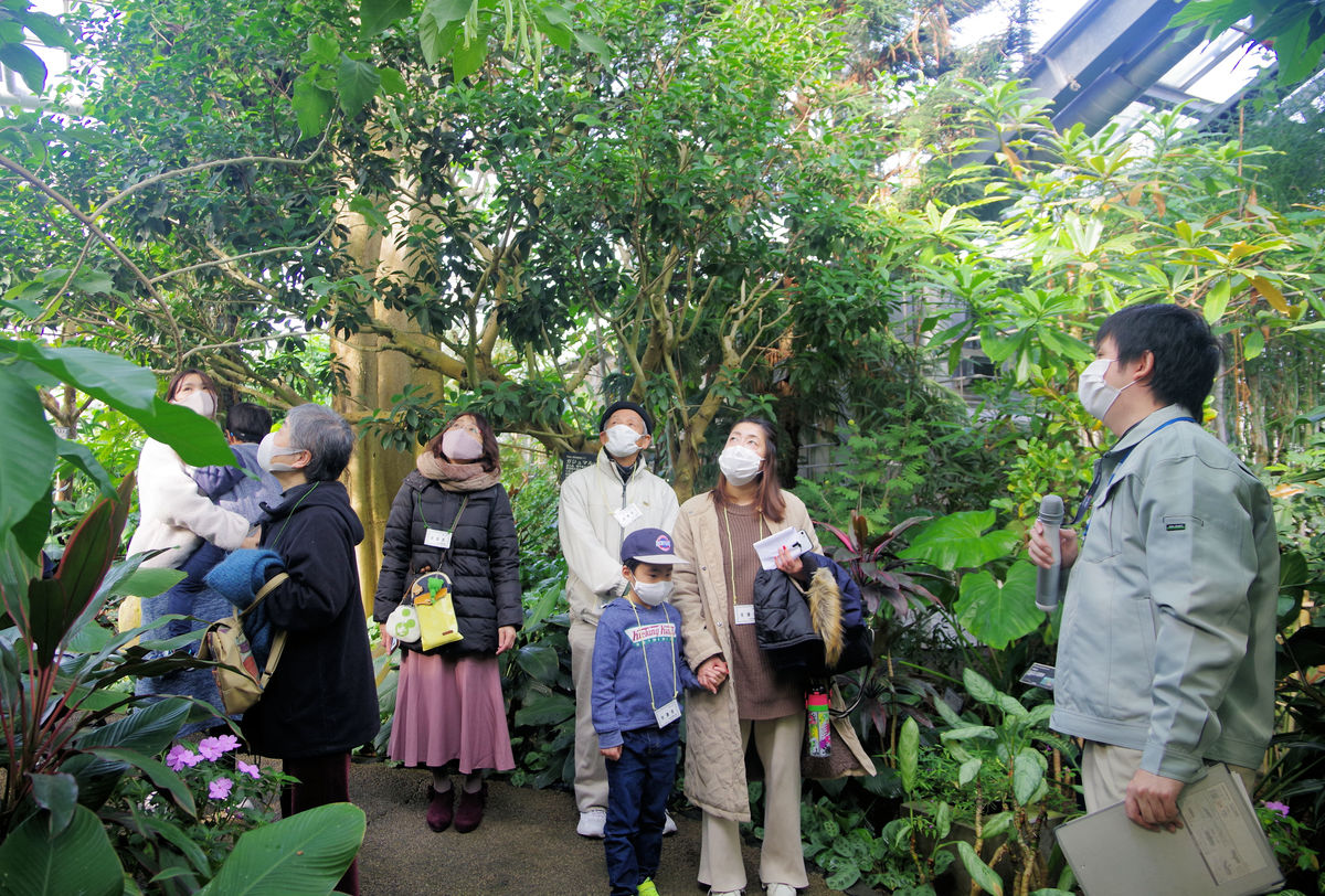 ぽかぽか温室の中に展望台、熱帯植物の観察ツアー　園芸技師が案内