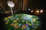 &lt;div class=&quot;caption&quot;&gt;色とりどりの花を投影するプロジェクションマッピングが登場した竹林の散策路（８日午後６時１分、京都市右京区）&lt;/div&gt;