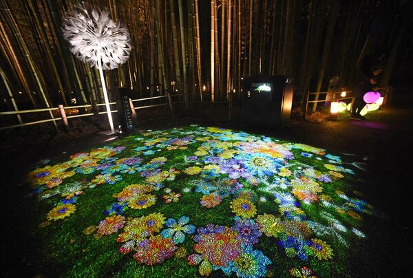 <div class="caption">色とりどりの花を投影するプロジェクションマッピングが登場した竹林の散策路（８日午後６時１分、京都市右京区）</div>