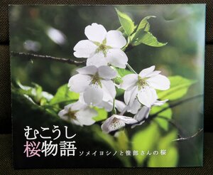 朝枝さんが向日市内の桜を撮影した写真を収録した冊子「むこうし桜物語」。表紙は向日神社境内で咲いた「白雪」