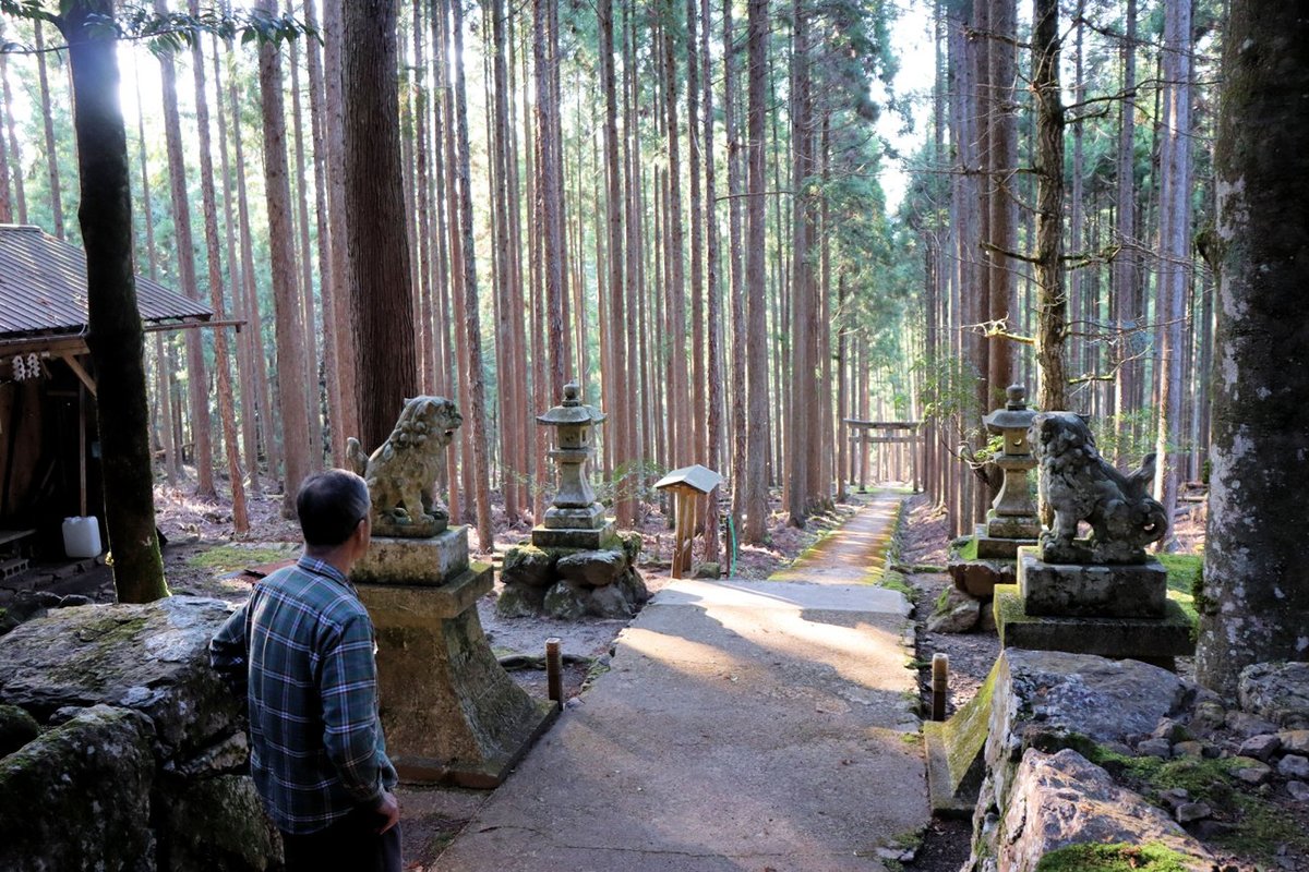 「異世界の入り口のよう」　京都の賀茂神社、パワースポットとして話題