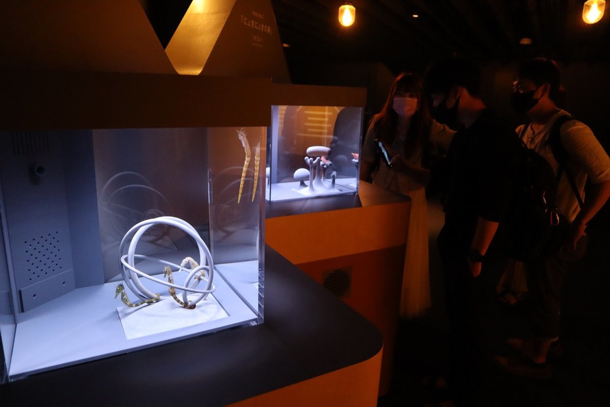 水槽に人工オブジェ、海の生き物の暮らしぶりが一目で分かる　京都水族館で企画展