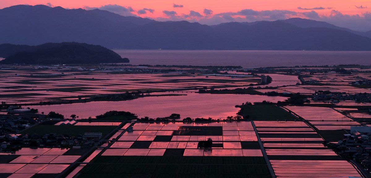 夕日映る赤い水田　滋賀県内で田植え進む