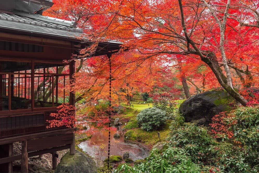 早朝や夜、秋の寺社を貸し切りませんか　京都ブライトンホテルが特別プラン