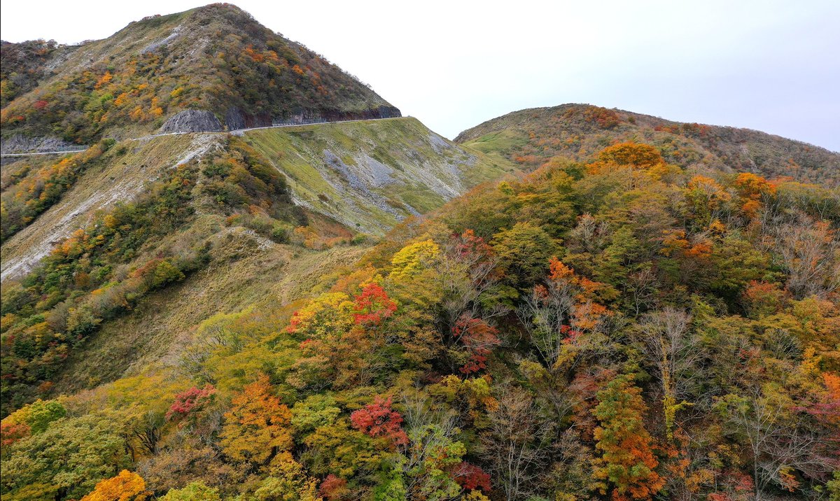 滋賀県最高峰、伊吹山の紅葉見頃　ピークは11月上旬