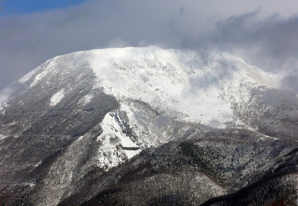 昨年１２月の寒波で冠雪した伊吹山。近年は温暖化の影響で山頂部の植生に変化が生じている（米原市池下）