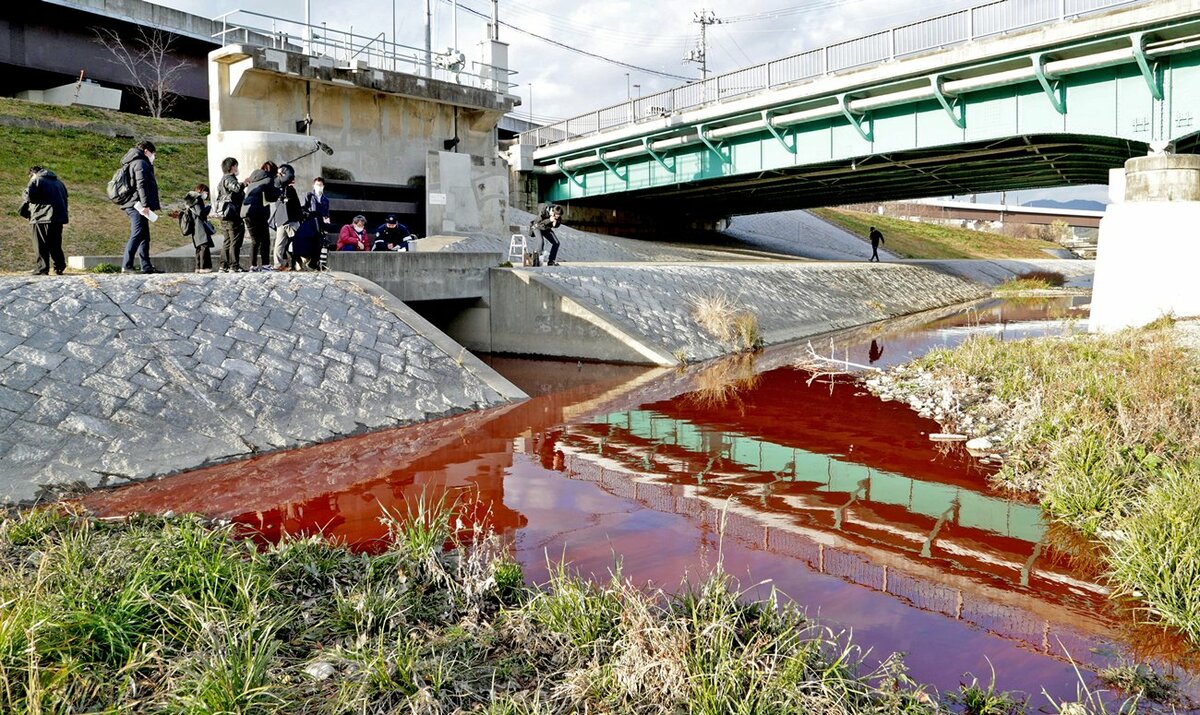 京都・鴨川の水が真っ赤に　原因調査中、下水管から大量の赤い液体が流入