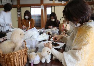 羊毛フェルトを使い、ペットそっくりの人形を作る受講者（草津市青地町・西方寺）