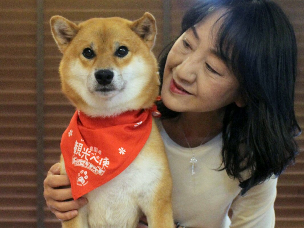 捨て犬から動物愛護モデル犬に ジェームス 2代目が引き継ぐ 主要 地域のニュース 京都新聞