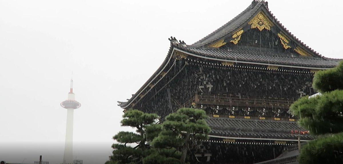 京都で降雪　京都タワーや東本願寺が雪にけむる