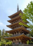【資料写真】醍醐寺の五重塔