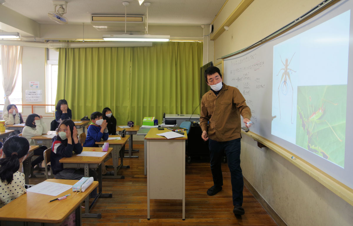 全教室の黒板、ホワイトボードに　写真投影、板書手間省けわかりやすく　京都の小学校