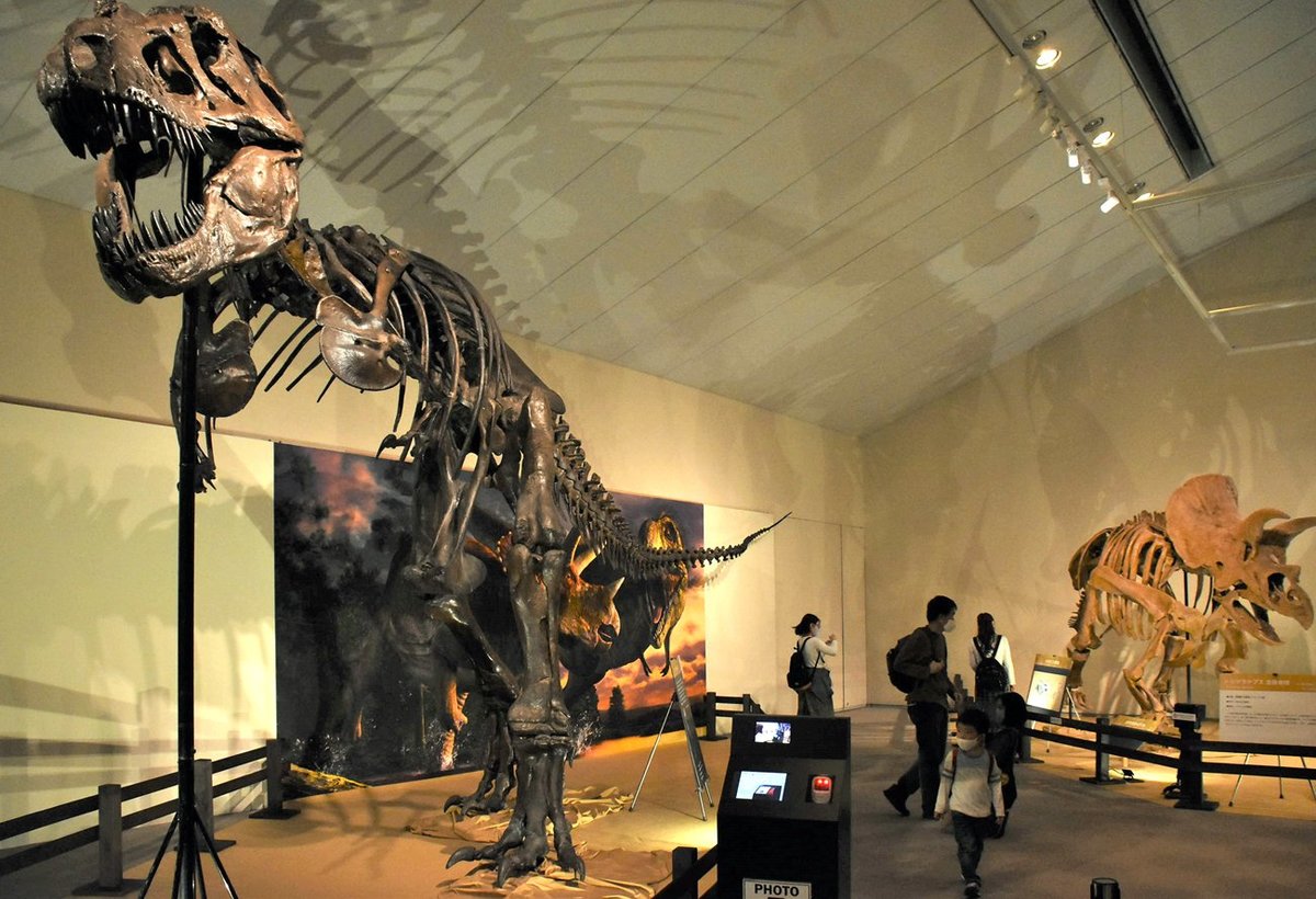 ティラノサウルスにトリケラトプス、実物サイズの巨大恐竜　滋賀・佐川美術館で展示