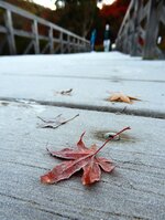 この秋一番の冷え込みで、霜が降りて真っ白になった木橋（２９日午前７時２５分、京都市左京区八瀬野瀬町）