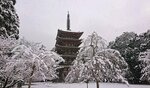 &lt;div class=&quot;caption&quot;&gt;雪をかぶった醍醐寺の五重塔（２１日午前、京都市伏見区）&lt;/div&gt;