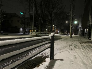 雪が積もった白川通（１４日午前５時５０分、京都市左京区北白川）