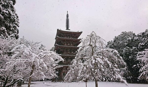 <div class="caption">雪をかぶった醍醐寺の五重塔（２１日午前、京都市伏見区）</div>