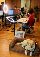 盲導犬について知ってもらうイベントをオンライン配信する関西盲導犬協会の職員ら（亀岡市曽我部町・同協会）