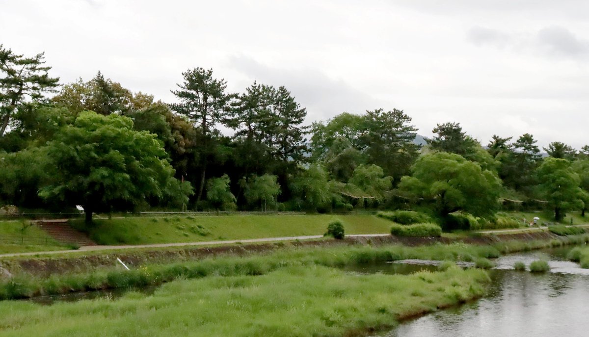 希少種や育成植物管理のバックヤード「縮小せず」　植物園の再整備で京都府が方針