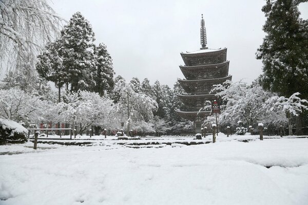 <div class="caption">真っ白に雪化粧した醍醐寺の五重塔周辺（２１日午前、京都市伏見区醍醐）</div>