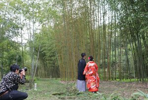 結婚式の前撮りスポットとして人気を集める京都府立植物園 （京都市左京区）