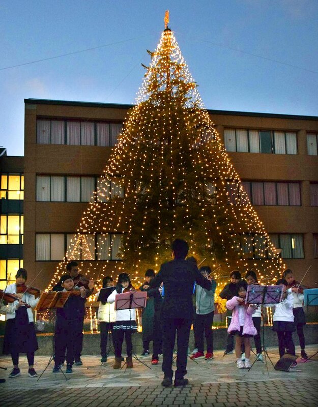 女子大キャンパスにクリスマスツリー イルミネーション点灯で幻想的に 社会 地域のニュース 京都新聞
