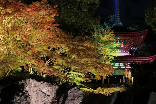 石山寺で紅葉ライトアップ始まる ミストで山水画の風情 観光 地域のニュース 京都新聞