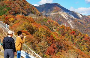 見頃を迎え、山の斜面が赤や黄色に色づいた伊吹山（２日、滋賀、岐阜県境）