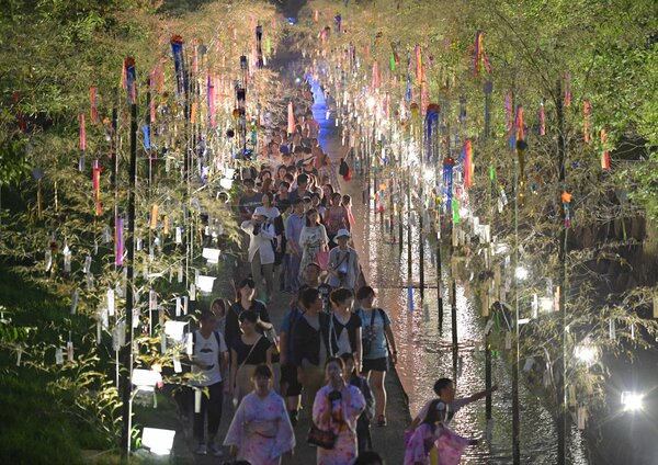 短冊に 京都旅行の願い事 託して 京の七夕で初募集 ライトアップは検討続ける 観光 地域のニュース 京都新聞