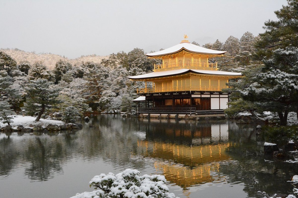京都・金閣寺が雪化粧、黄金と白銀のコラボ