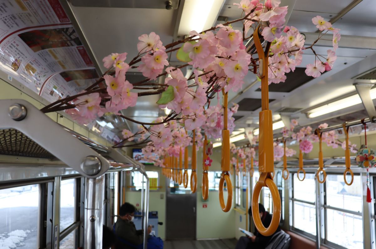 電車内は春らんまん　近江鉄道が造花飾り、沿線の観光盛り上げ
