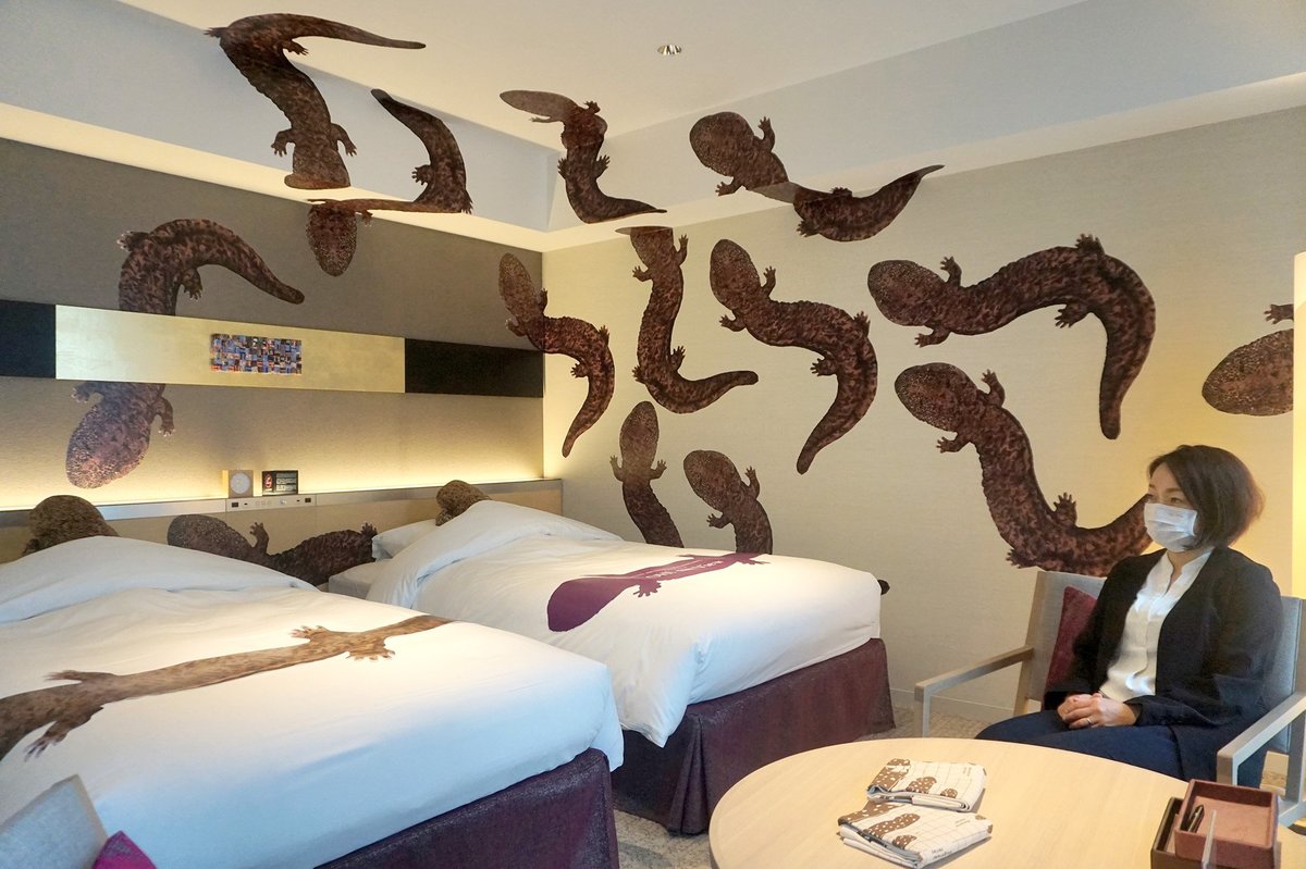 〝オオサンショウウオ〟40匹超がホテル客室を回遊　水族館と合同企画