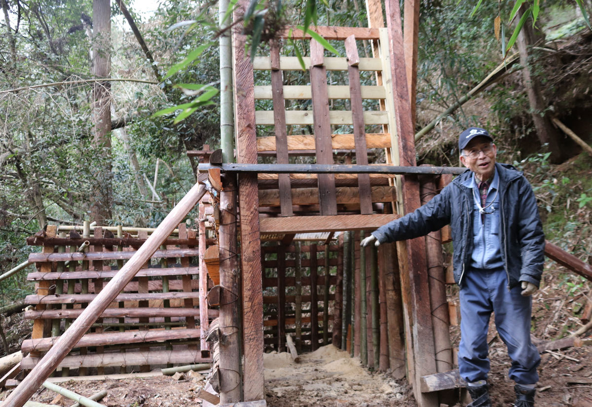 山中の木でイノシシ捕獲おり　獣害対策と山林環境改善を両立　京都・南丹の男性が考案
