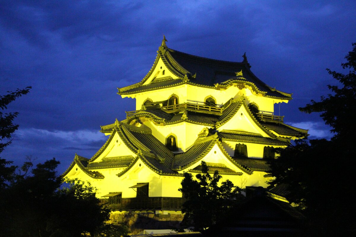 夜の彦根城 黄色にライトアップ 社会を明るく Pr 観光 地域のニュース 京都新聞