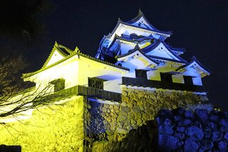 天守の白壁 国際平和祈る青と黄色に 滋賀 彦根城でライトアップ 社会 地域のニュース 京都新聞