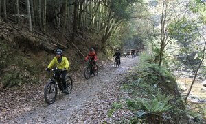 険しい山道を電動自転車で軽快に走るイベント参加者ら（４月中旬、京都市西京区松尾・松尾山）