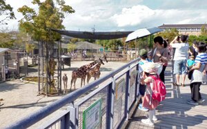 緊急事態宣言が１０月１日に解除され、親子連れでにぎわう京都市動物園（１０月９日、京都市左京区）