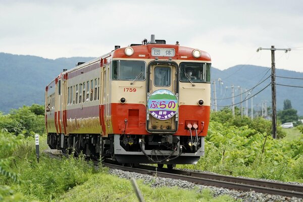 臨時列車として走った、国鉄時代を再現して塗装されたキハ４０＝２日午後、北海道富良野市