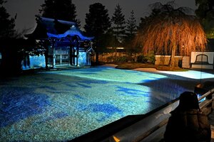 試験点灯でライトアップされた庭園（京都市東山区・高台寺）