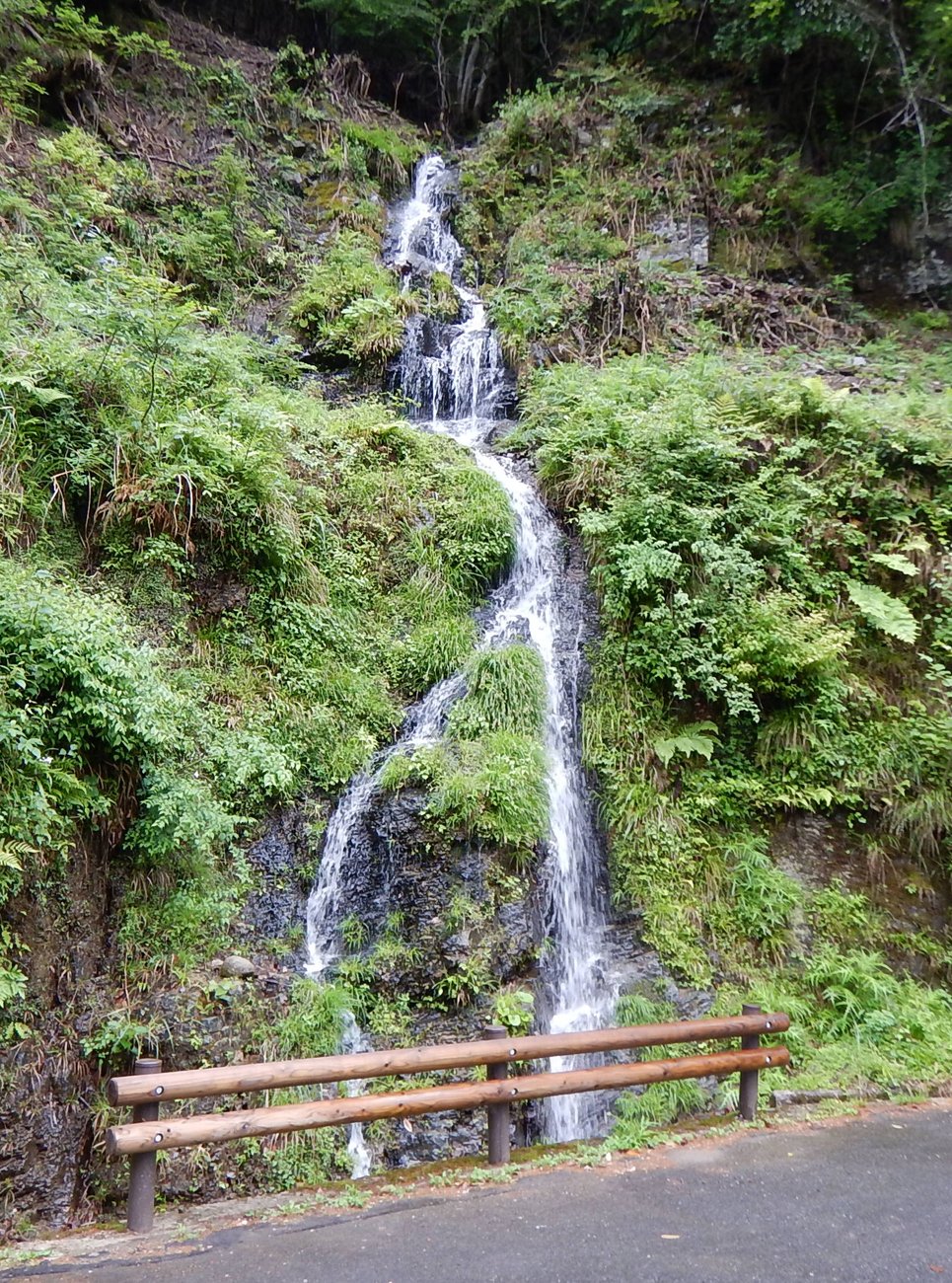 降雨翌日に出現する「クチナシの滝」　看板やベンチを設置で住民がＰＲ　京都・南丹