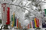 &lt;div class=&quot;caption&quot;&gt;五色の旗が立ち並ぶ雪化粧した境内（２１日午前１０時７分、京都市伏見区・醍醐寺）&lt;/div&gt;
