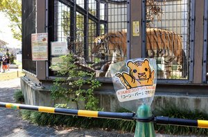 京都市動物園では動物との近さが売りだったが、新型コロナウイルスに感染恐れのある動物の安全対策として、コーンやバーなどで人との距離を確保している（京都市左京区・同園）