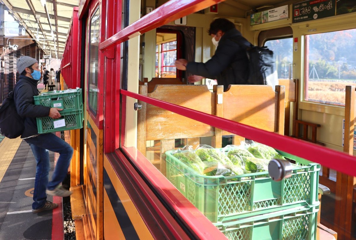 小カブやハクサイ新鮮野菜「トロッコ列車」で輸送　嵯峨野観光鉄道など運搬試行