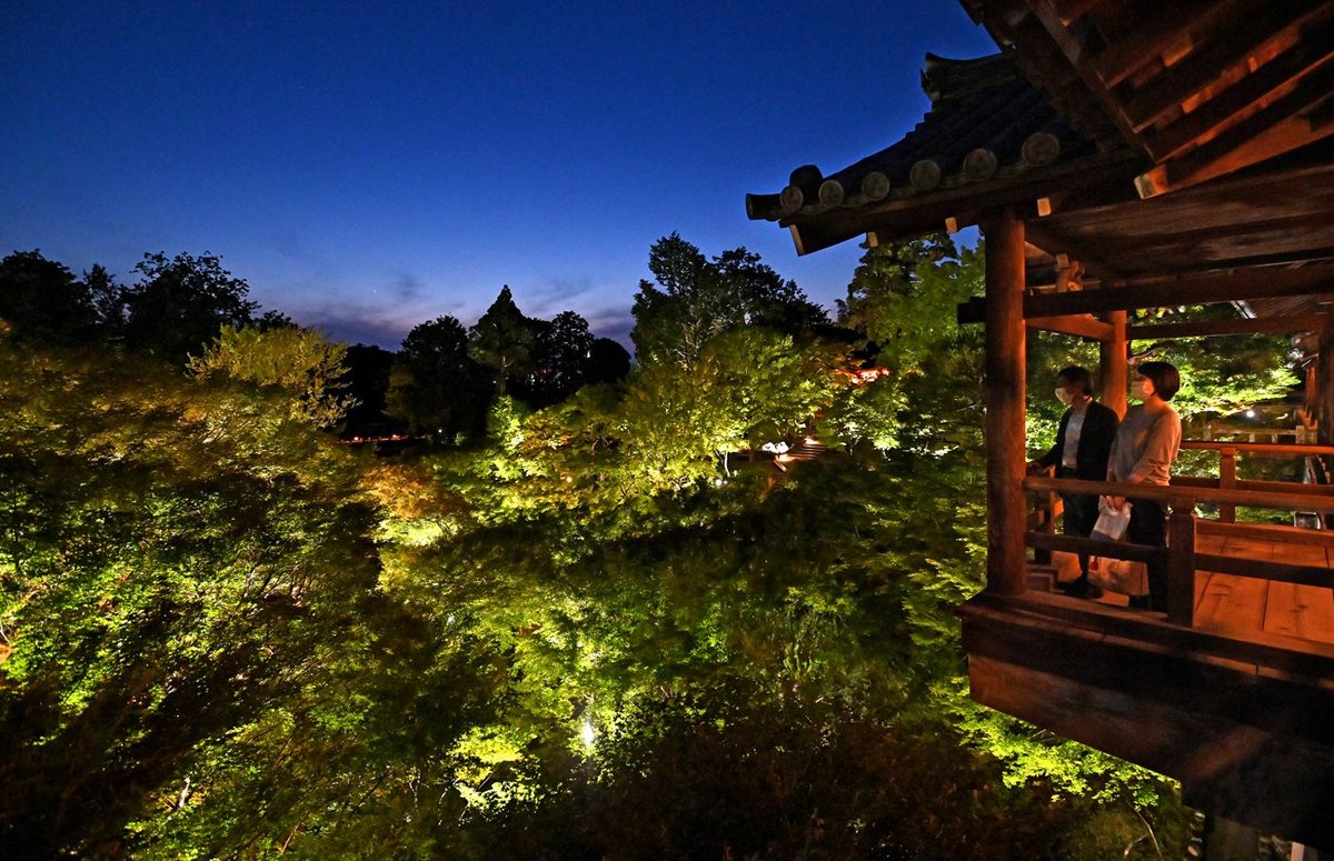 紅葉の名所、鮮やか「青もみじ」輝く　京都・東福寺で初のライトアップ
