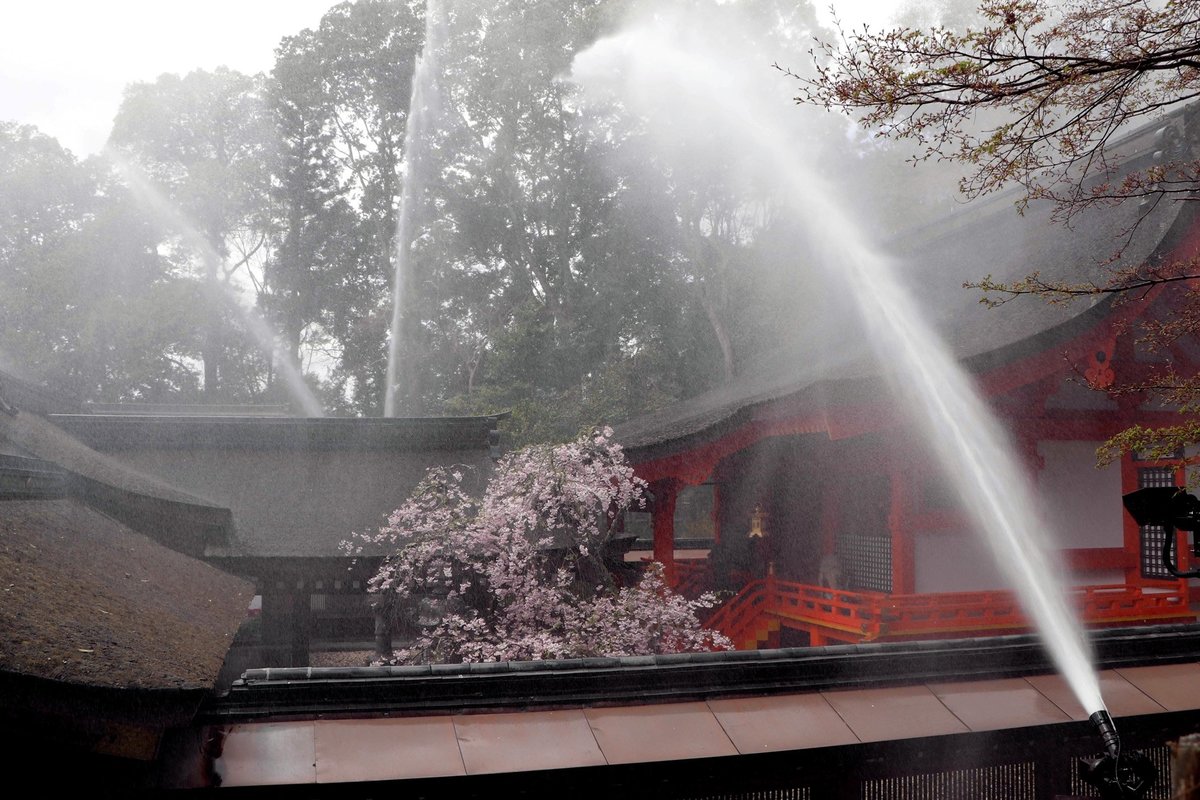 国重文の社殿に自動放水設備　京都・亀岡の出雲大神宮